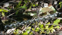 baja-designs-camo-stealth-led-utvunderground